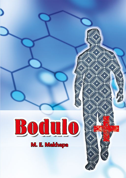 SESOTHO HL GRADE 8 NOVEL - BODULO Cover