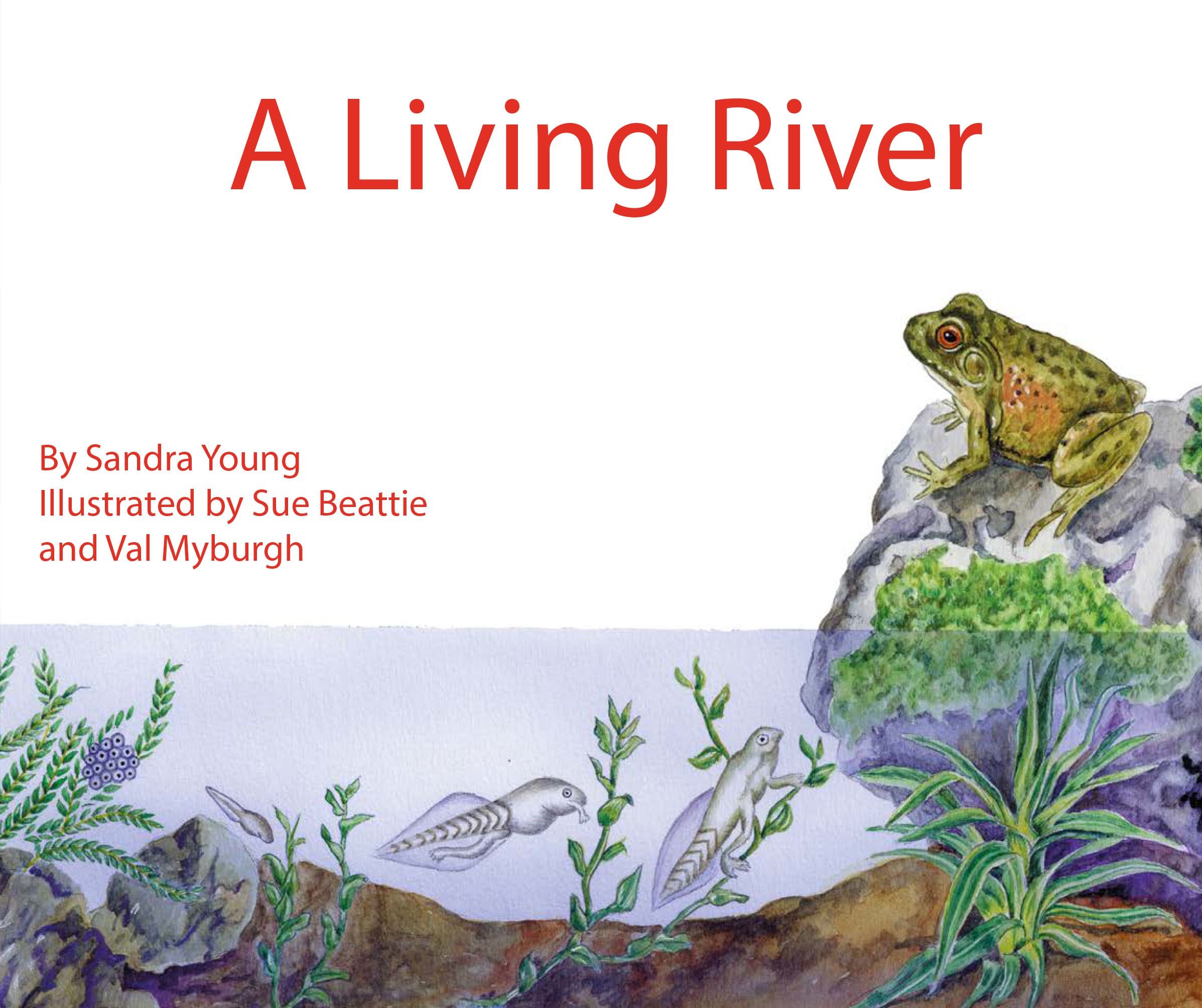 JUMBO INFORMATION READER: BLUE - A LIVING RIVER Cover