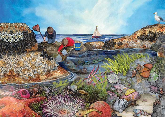 ROCK POOLS 50 PIECE PUZZLE Cover