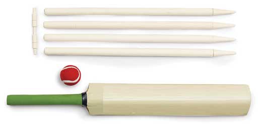 CRICKET SETS (2 TYPES) Cover