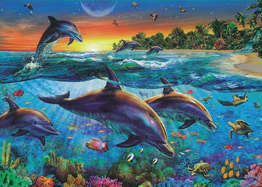 DOLPHIN BAY 200 PIECES BOARD PUZZLE Cover