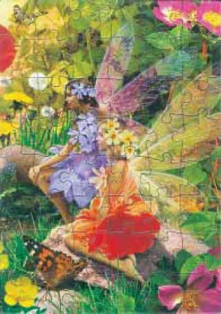 FAIRY WORLD 48 PIECE PUZZLE - THICK C/BOARD Cover