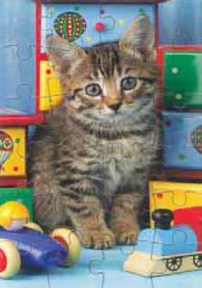 MY KITTY 24 PIECE PUZZLE - THICK C/BOARD Cover