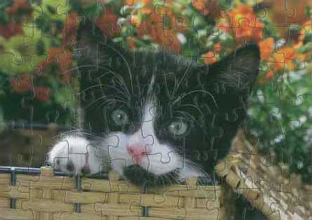 KITTEN IN A BASKET PUZZLE - 63 PIECES Cover