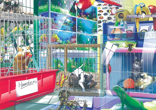 PET SHOP 36 PIECE WOODEN PUZZLE Cover