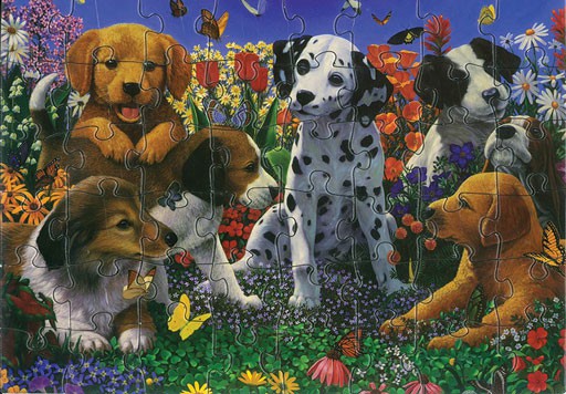 PUPPIES 48 PIECE PUZZLE - THICK C/BOARD Cover