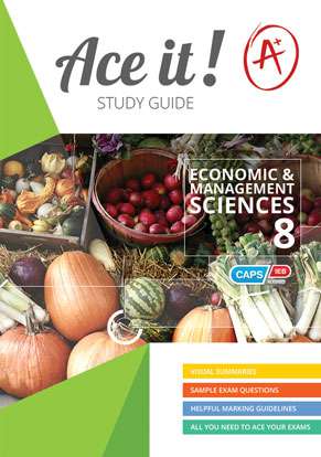 Ace It! Economic and Management Sciences Grade 8 Cover