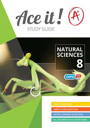 Ace it! Natural Sciences Grade 8 Cover
