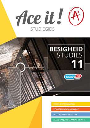 Ace it! Besigheidstudies Graad 11 Cover