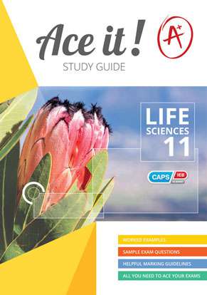 Ace it! Life Sciences Grade 11 Cover