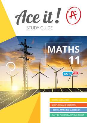 Ace it! Mathematics Grade 11 Cover