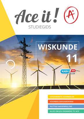 Ace it! Wiskunde Graad 11 Cover