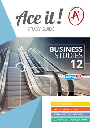 Ace it! Business Studies Grade 12 Cover