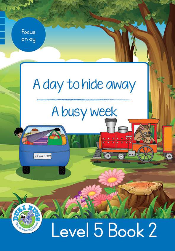 DUZI BUGS: BLUE LEVEL 5: BOOK 2: A DAY TO HIDE AWAY | A BUSY WEEK Cover