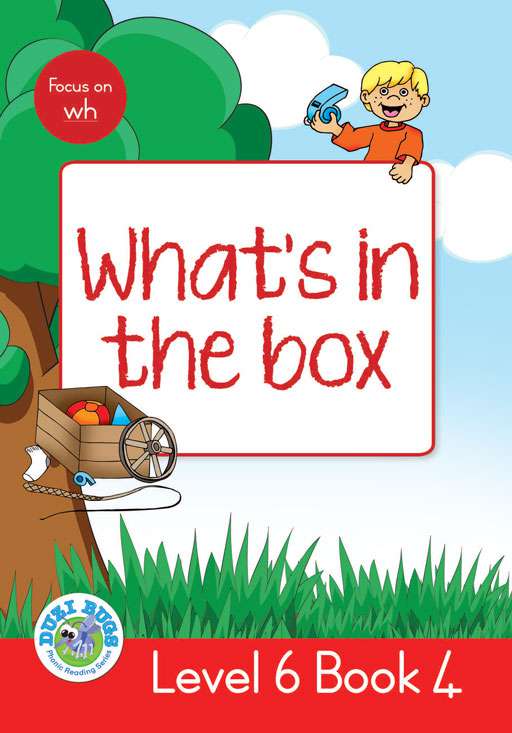 DUZI BUGS: RED LEVEL 6: BOOK 4: WHAT'S IN THE BOX? Cover