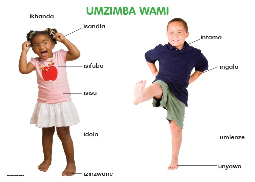 CHART: MASIHAMBISANE IBANGA R: UMZIMBA WAMI A2 Cover