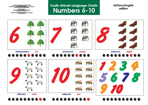 CHART: NUMBERS 6-10 XHOSA/ENGLISH A2 Cover