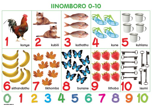 CHART: HAND IN HAND GRADE R (NDEBELE) INOMBORO 0-10 A2 Cover