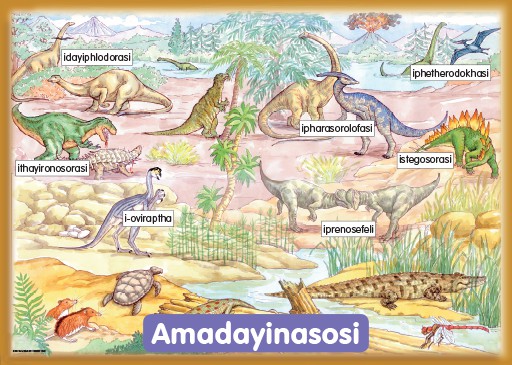 CHART: HAND IN HAND GRADE R (NDEBELE) Amadayinasosi A2 Cover