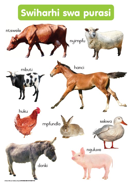 CHART: FARM ANIMALS XITSONGA A2 Cover