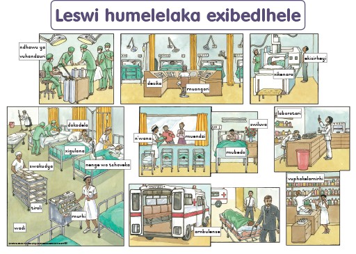 CHART: WHAT HAPPENS IN A HOSPITAL XITSONGA A2 Cover