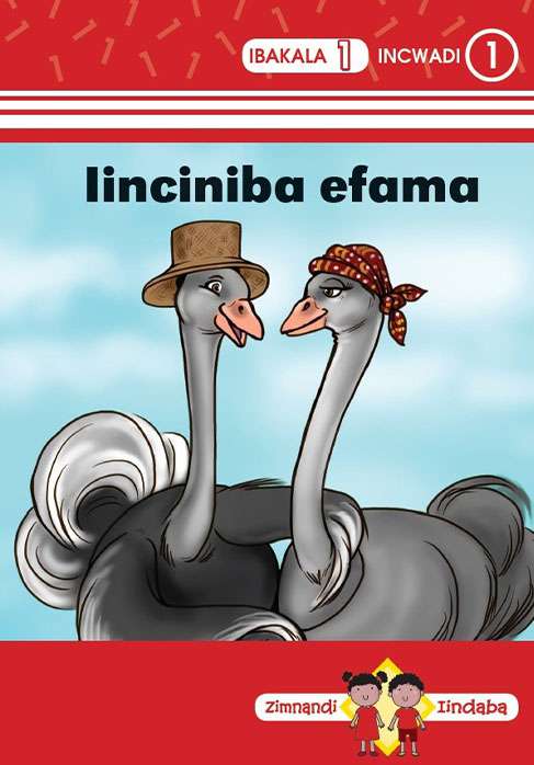 Zimnandi Iindaba Red Series: L1 B1: Iinciniba Efama Cover