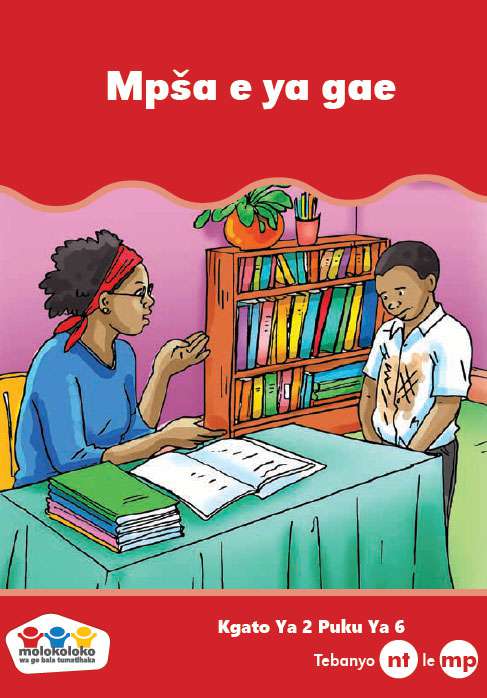 SEPEDI PHONIC READING SERIES LEVEL 2 BOOK 6: NTATUANE TSELENG Cover