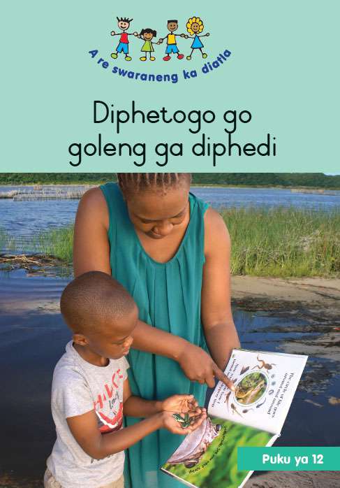 HAND IN HAND (SEPEDI) SMALL BOOK 12: DIPHETOGO GO GOLENG GA DIPHEDI Cover