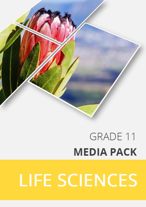 LIFE SCIENCES GRADE 11 EXPLAINER VIDEO PACK Cover