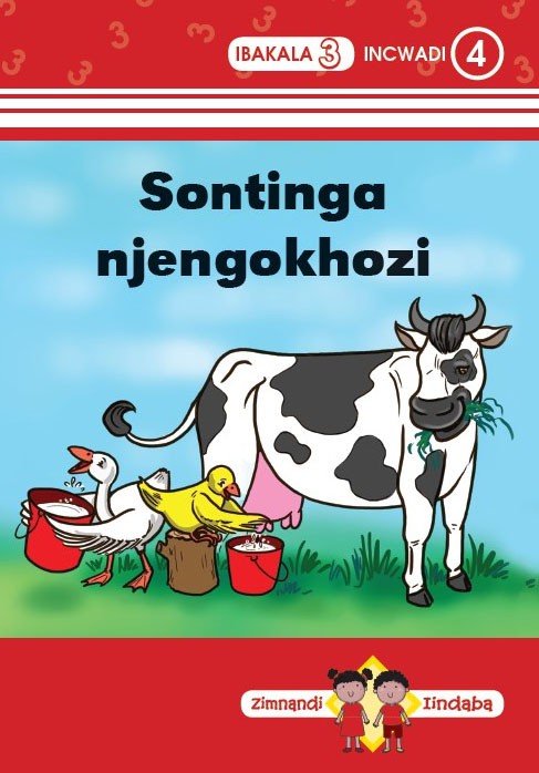 Zimnandi Iindaba Red Series: L3 B4: Sontinga Njengokhozi Cover