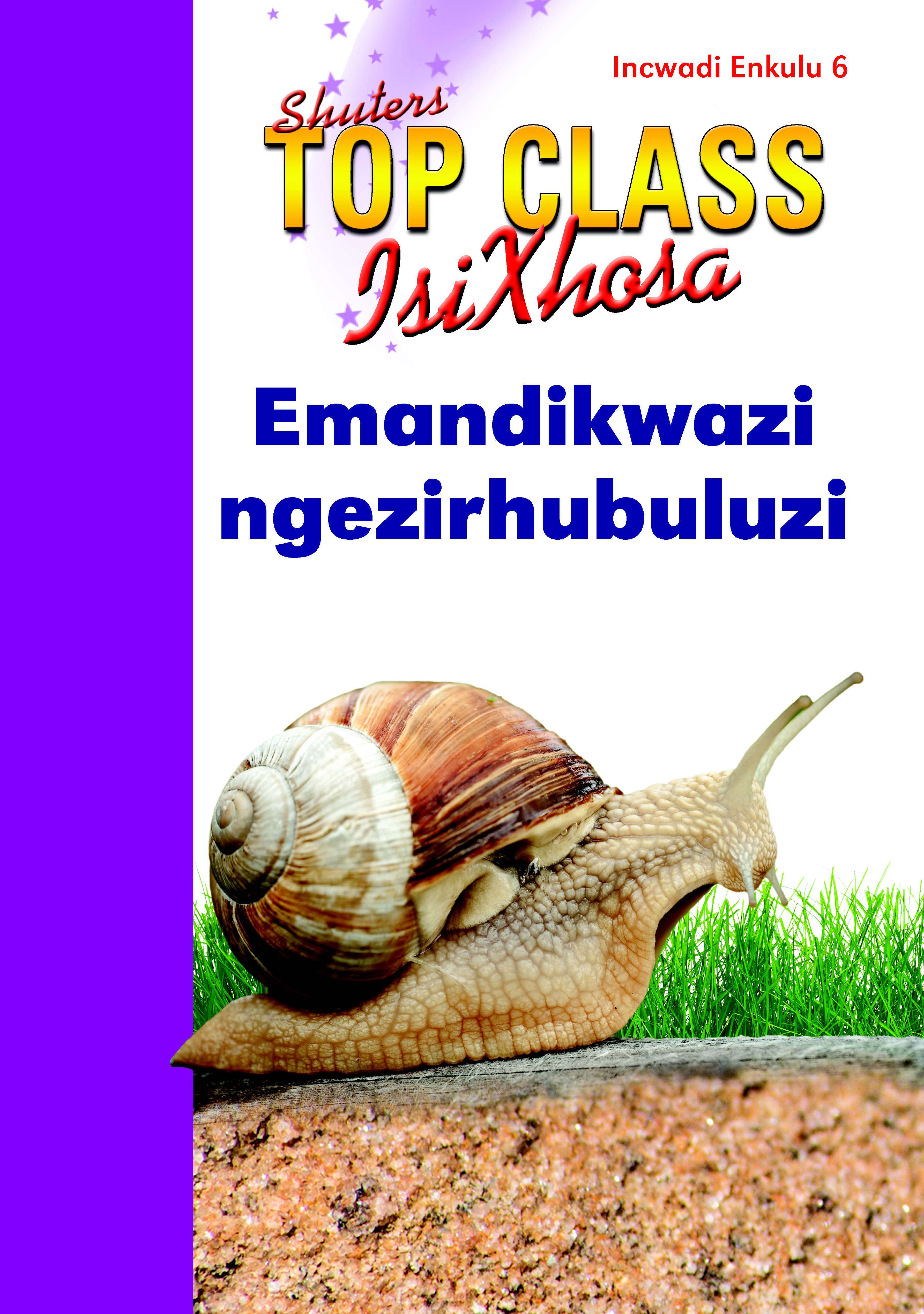 TOP CLASS ISIXHOSA FAL GRADE 2 BIG BOOK 6: EMANDIKWAZI NGEZIRHUBULUZI Cover
