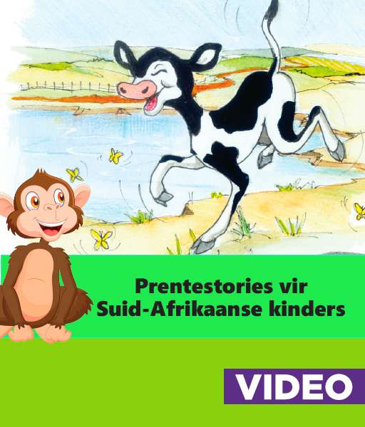 PICTURE STORIES FOR SOUTH AFRICAN CHILDREN (AFRIKAANS) Cover