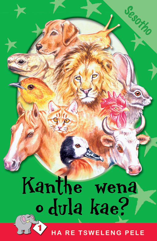 HA RE TSWELENG PELE SERIES: LEVEL 1 BOOK 2: KANTHE WENA O . Cover