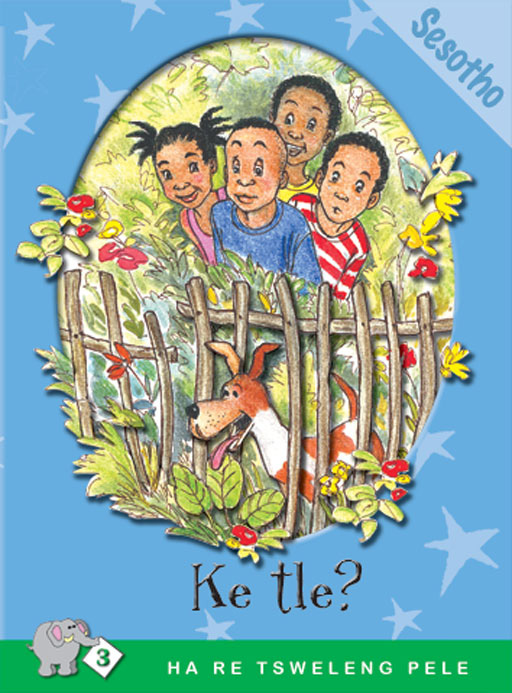 HA RE TSWELENG PELE SERIES: LEVEL 3 BOOK 2: KE TLE? Cover