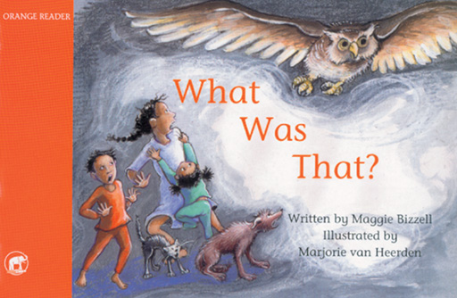 JUMBO READER FOUNDATION PHASE ORANGE: WHAT WAS THAT? Cover