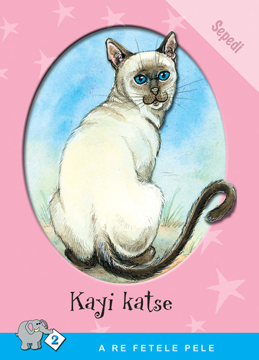 A RE FETELE PELE SERIES: LEVEL 2 BOOK 4: KAYI KATSE Cover