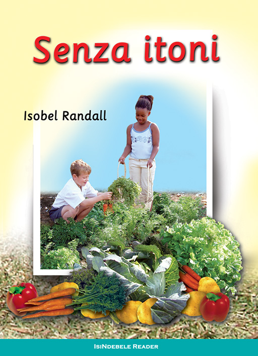 WE MAKE A GARDEN: (NDEBELE) SENZA ITONI Cover
