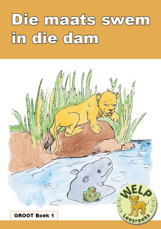 BIG BOOK (AFRIKAANS) 1: MAATS SWEM IN DIE DAM Cover