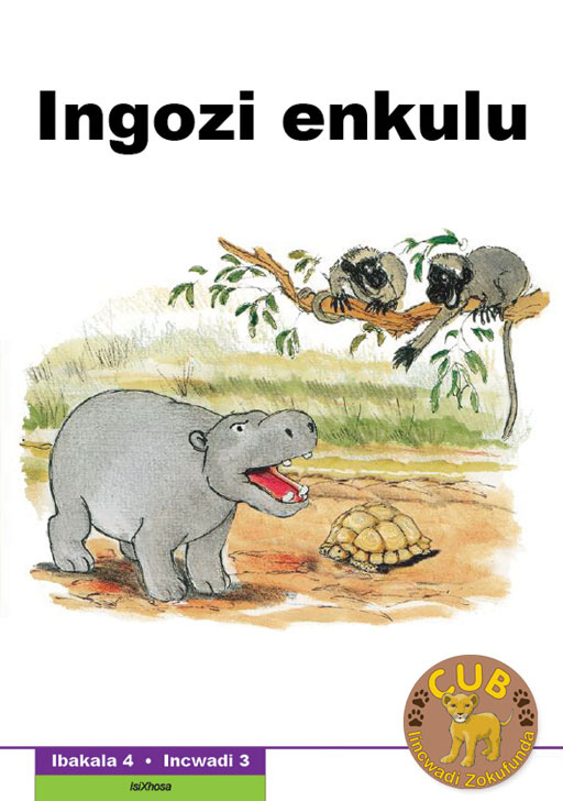 CUB READING SCHEME (XHOSA) LEVEL 4 BK 3: INGOZI ENKULU Cover