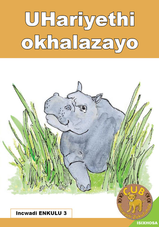 BIG BOOK (XHOSA) 3: UHARIYETHI OKHALAZA Cover