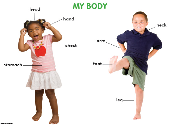 CHART: SHUTERS HAND IN HAND GR R: MY BODY A2 Cover