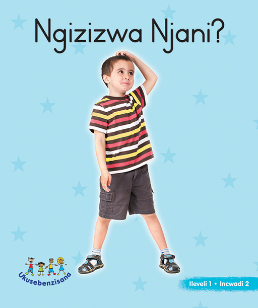 HAND IN HAND GRADE R (NDEBELE) PICTURE BK LEVEL 1 BK 2 Cover