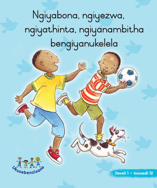 HAND IN HAND GRADE R (NDEBELE) PICTURE BK LEVEL 1 BK 12 Cover