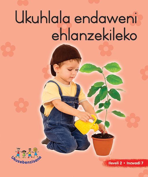 HAND IN HAND GRADE R (NDEBELE) PICTURE BK LEVEL 2 BK 7 Cover