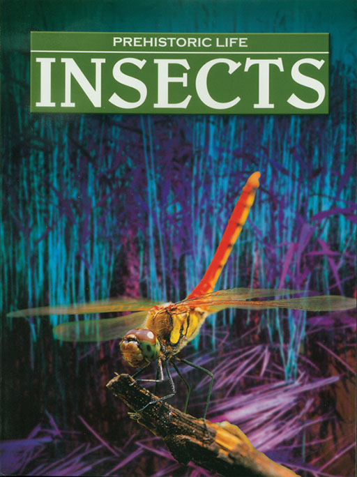 PREHISTORIC LIFE: INSECTS Cover