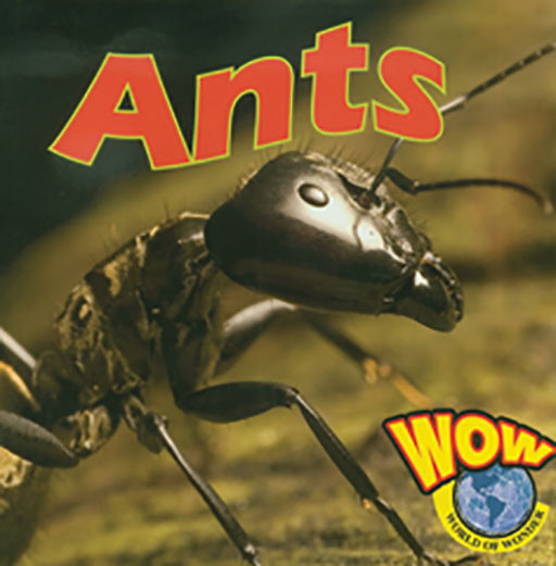WORLD OF WONDER: ANTS Cover