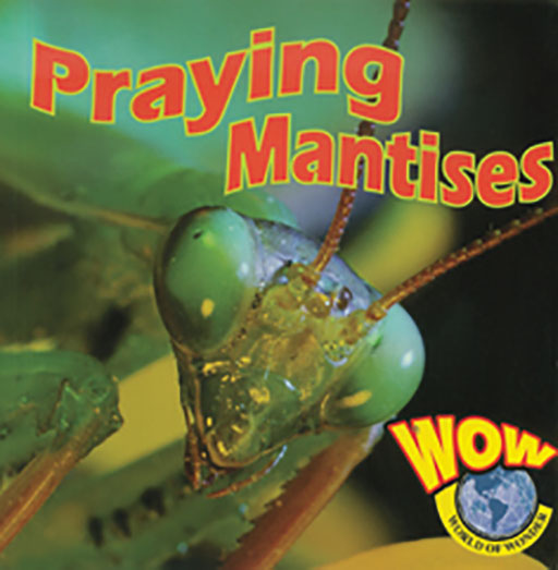 WORLD OF WONDER: PRAYING MANTIS Cover