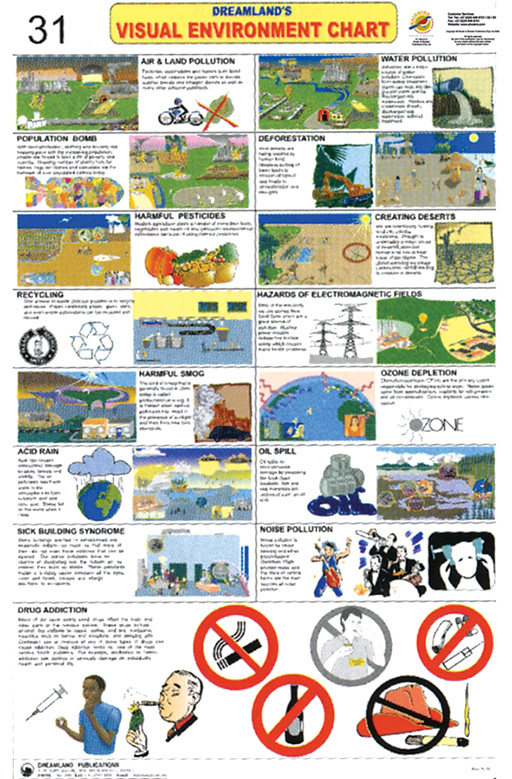 CHART: VISUAL ENVIROMENT CHART A2 Cover