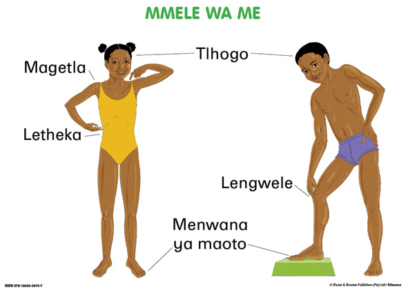 CHART: JUNIOR SETSWANA OUR BODIES A2 Cover