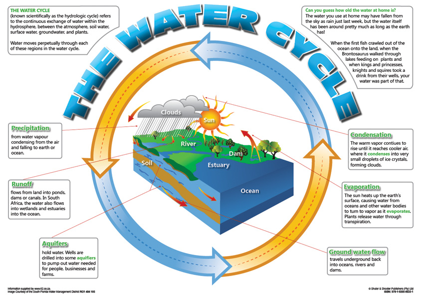 CHART: THE WATER CYCLE (ENGLISH) A2 Cover